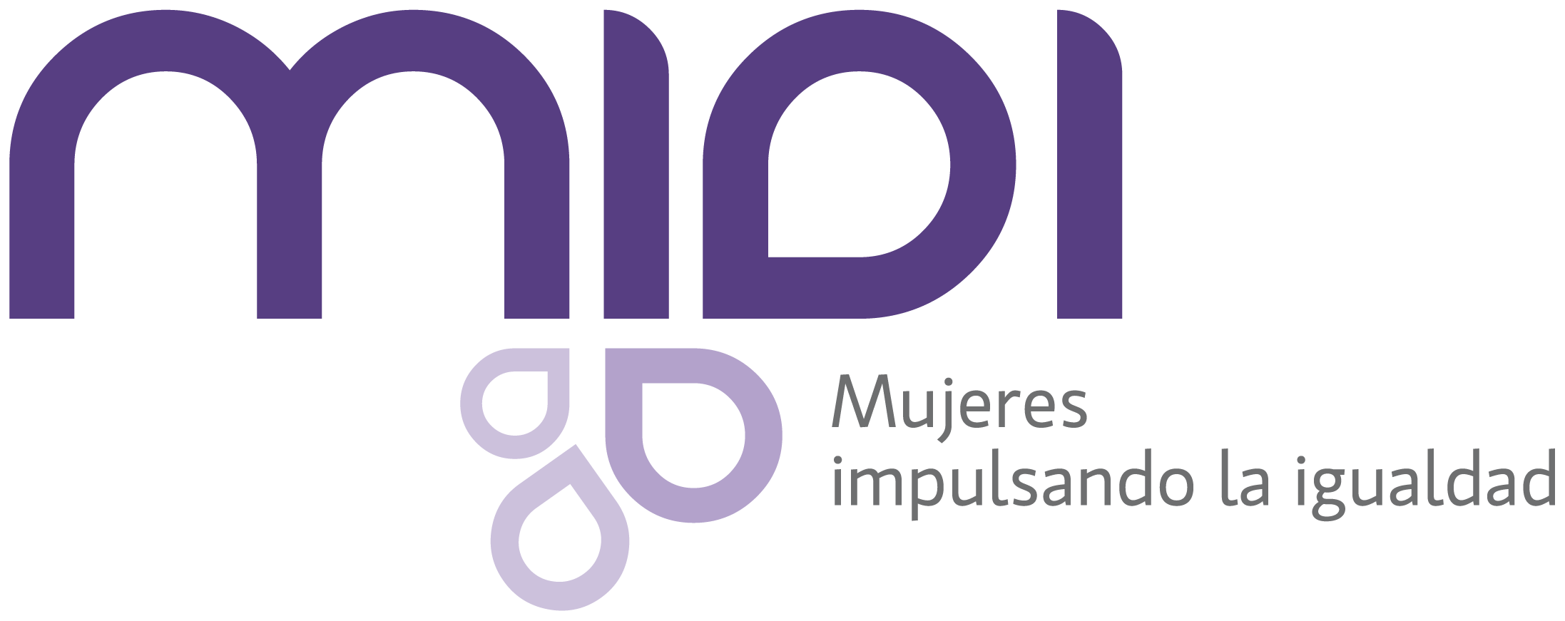 Capacitación Liderazgo Feminista